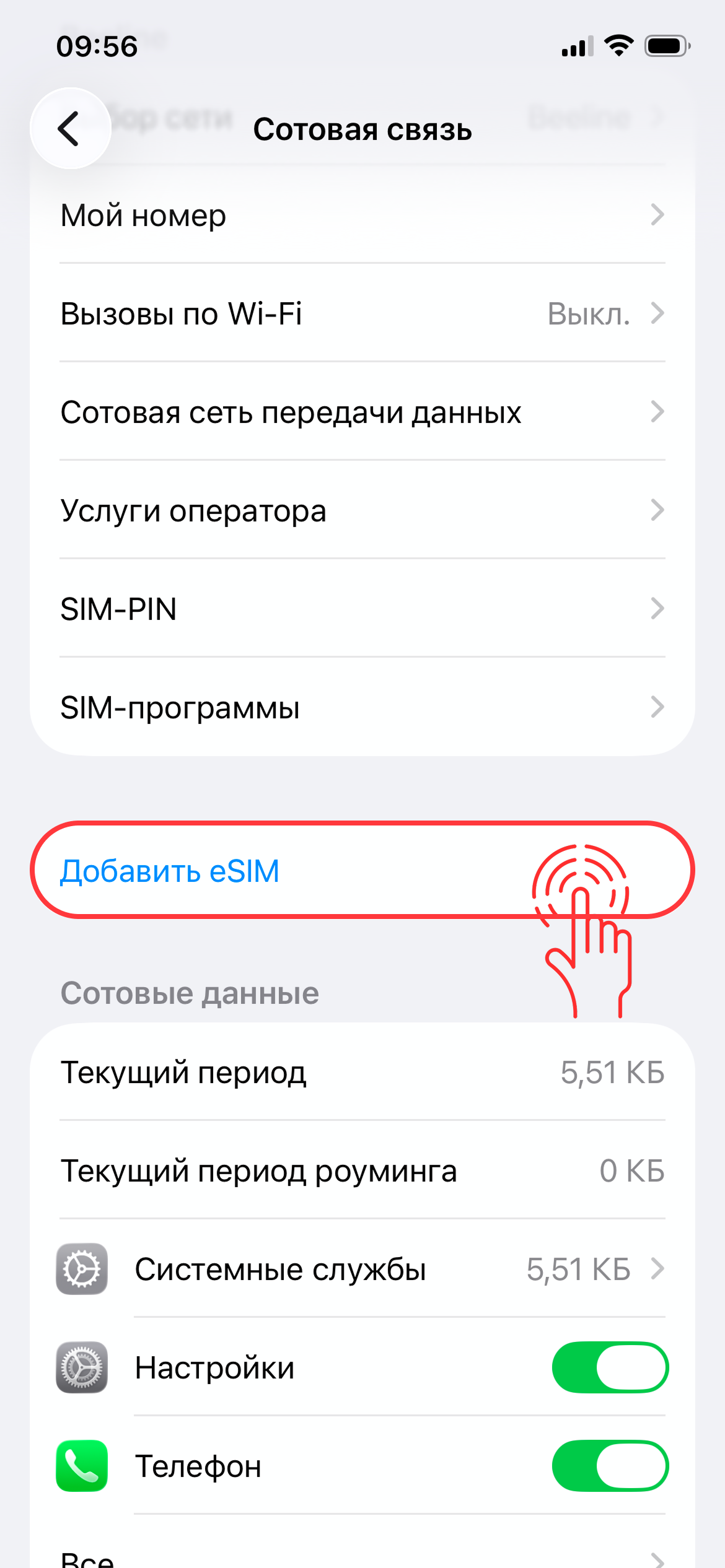 Нажмите «Добавить eSIM».